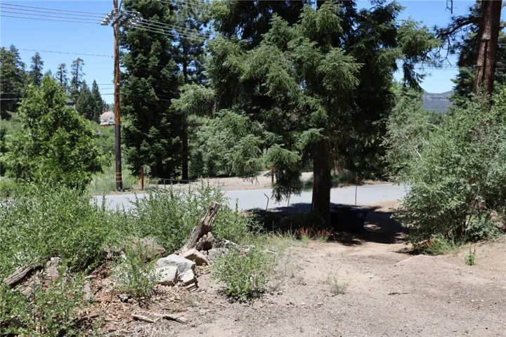 1013 Knickerbocker Road, Big Bear Lake, California 92315