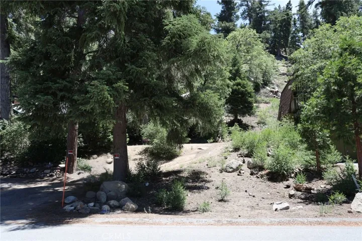 1013 Knickerbocker Road, Big Bear Lake, California 92315