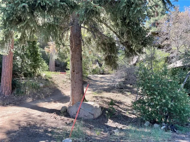 1013 Knickerbocker Road, Big Bear Lake, California 92315