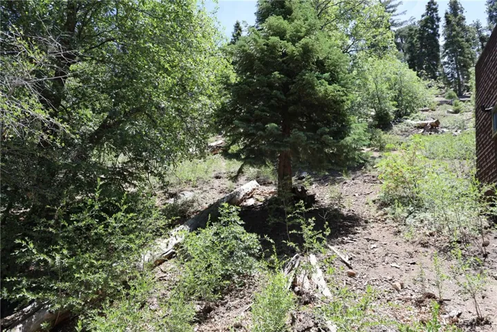 1013 Knickerbocker Road, Big Bear Lake, California 92315