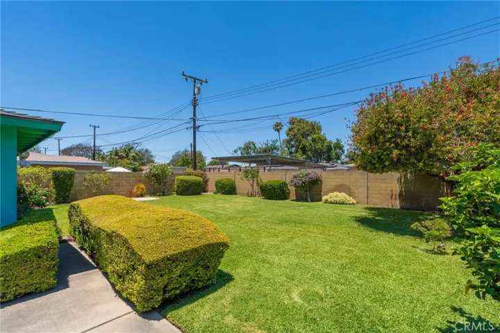 Mature shrubs and plants in the back and front yards.