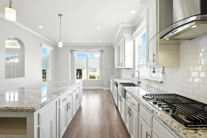 1225 Vienna Drive, Sunnyvale, California 94089
