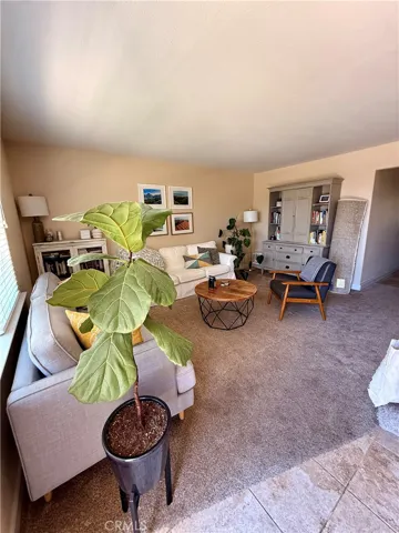 lower level living room