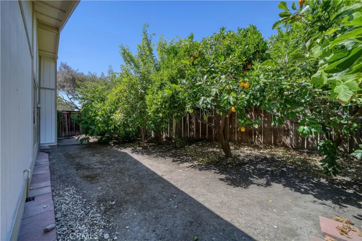 Side yard