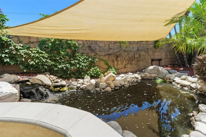 Shaded Koi Pond