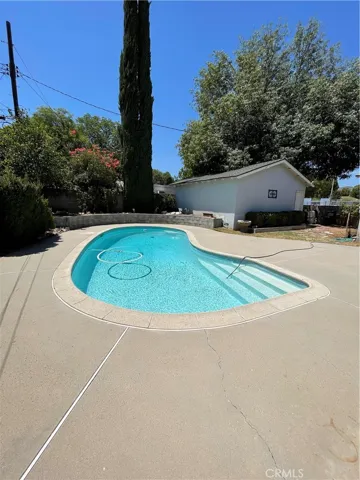 POOL! Low Maintenance Backyard.  Lemon Tree.