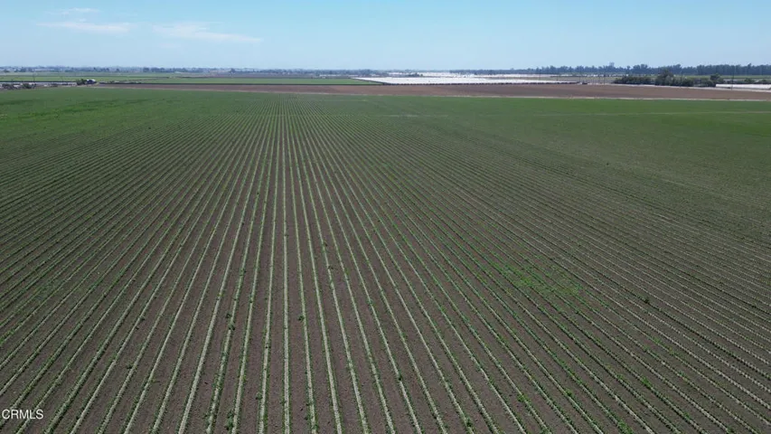 Middle South