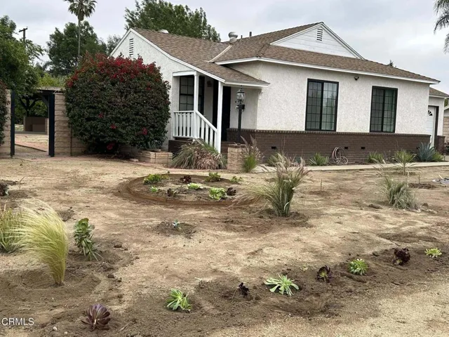 front yard #2