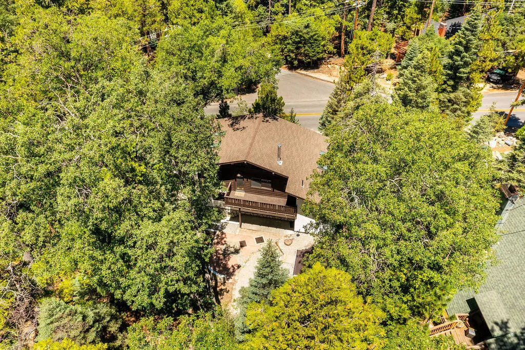 24718 Fern Valley Road, Idyllwild, California 92549 home-pic-69