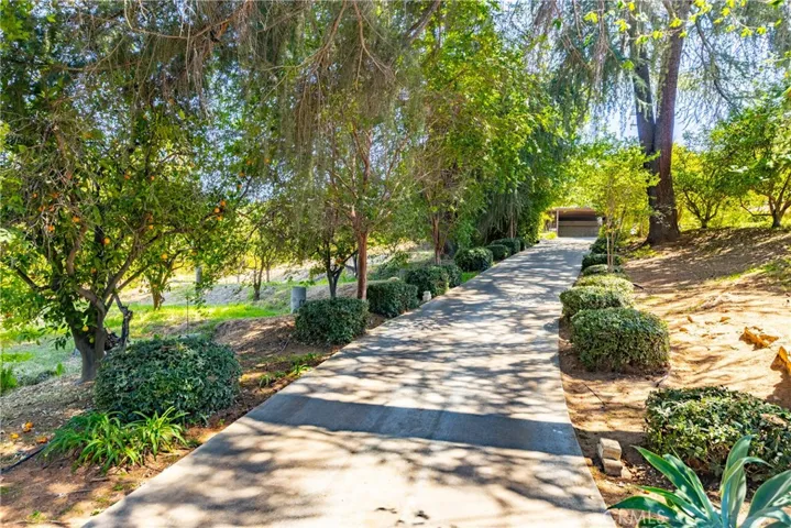 LONG PRIVATE DRIVEWAY