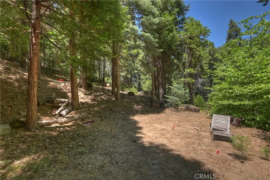 714 Blue Jay Canyon Road, Lake Arrowhead, California 92317 home-pic-4
