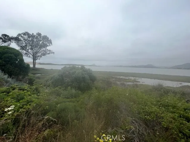 Foggy Day View