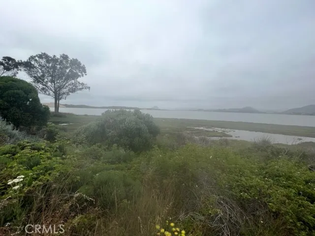 Foggy Day View