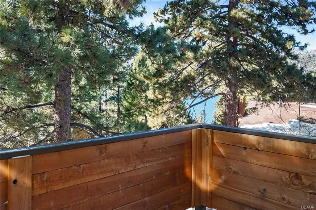 368 Pulaski Road, Big Bear, California 92315 home-pic-40