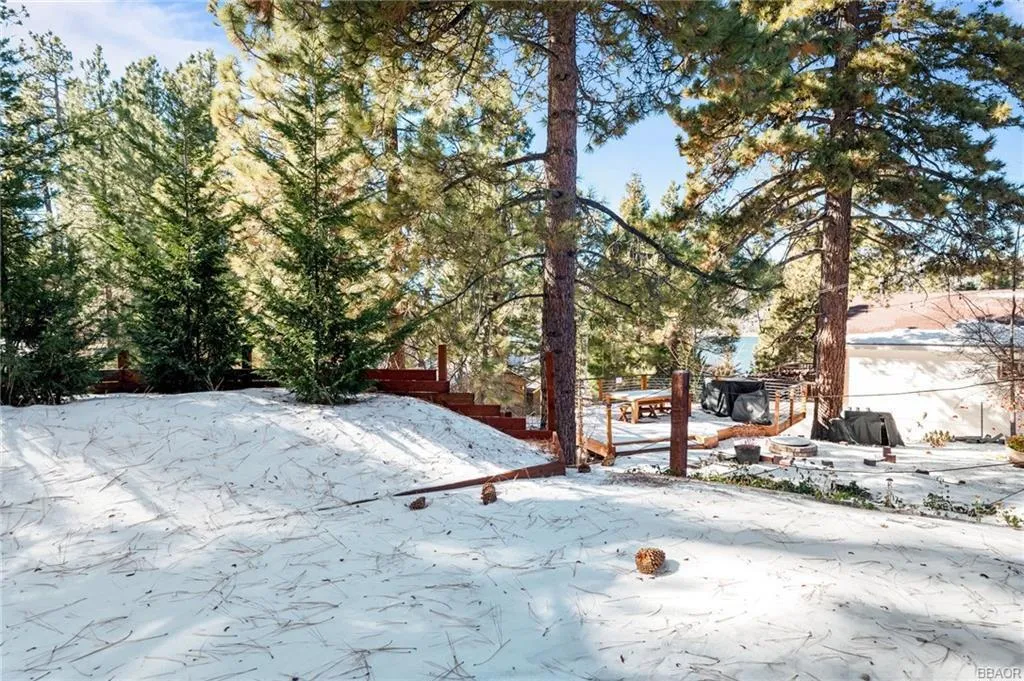 368 Pulaski Road, Big Bear, California 92315 home-pic-41
