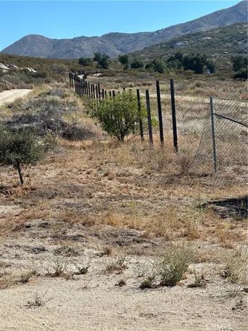 Parcel fence line.