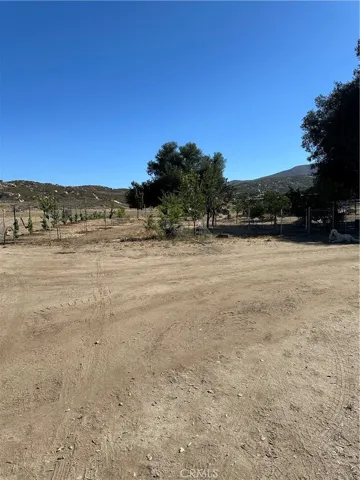 Fruit trees.
