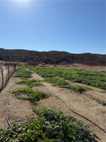 44845 Benton Road, Hemet, California 92544 — photo 5