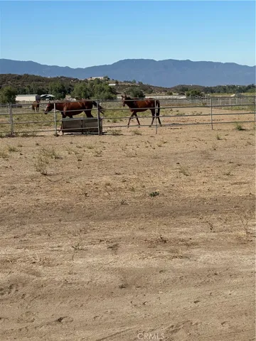 Horse pens.