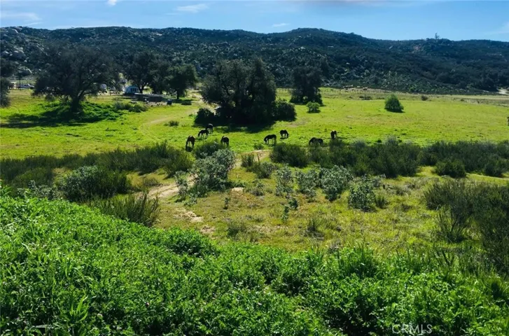 View of the parcel in thee spring.