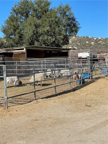 View of animal pens.