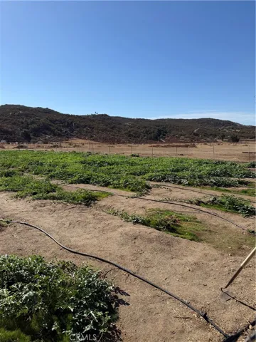 44845 Benton Road, Hemet, California 92544 — photo 4