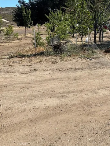 Fruit orchard.