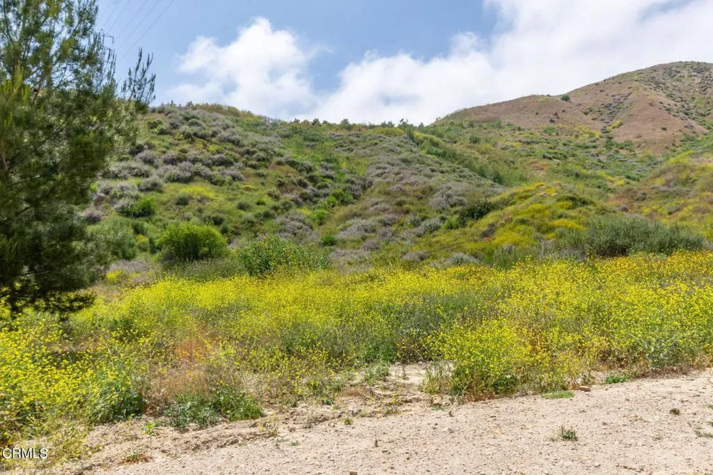3629 Center Street Street, Piru, California 93040 home-pic-18