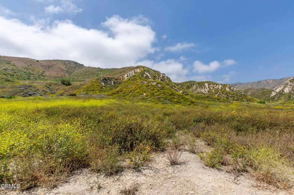 3629 Center Street Street, Piru, California 93040 home-pic-20