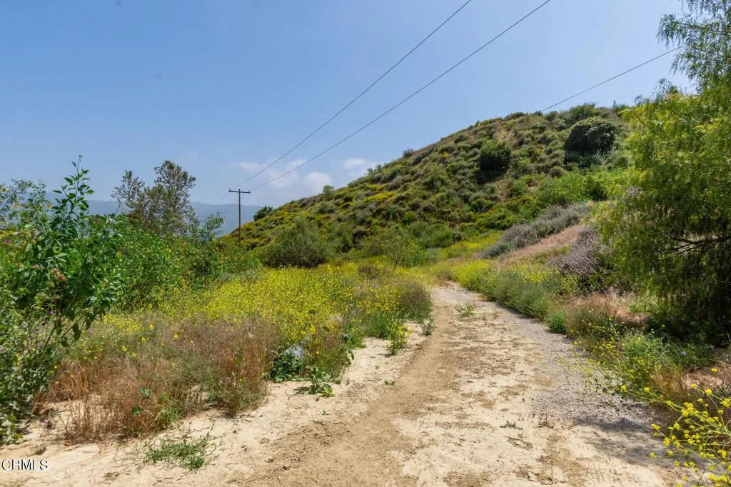 3629 Center Street Street, Piru, California 93040 home-pic-23