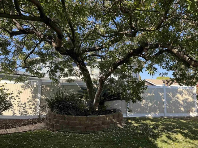 1445 Murray Ave, El Cajon, California 92020