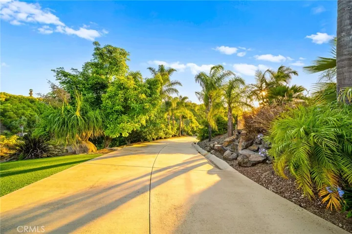 Driveway