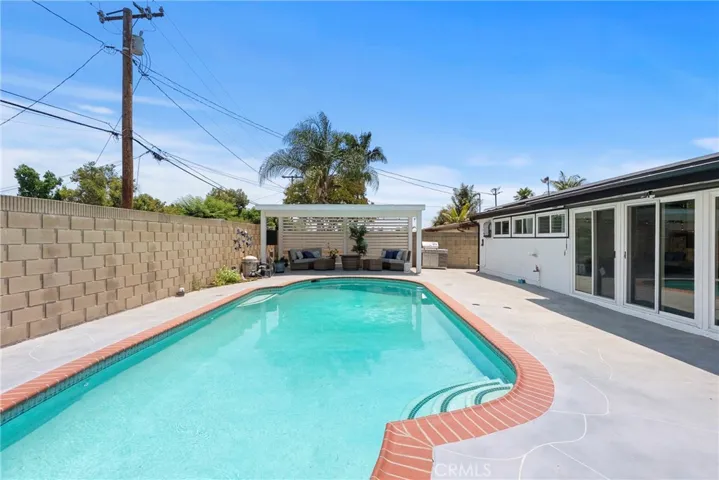 Back Yard 8