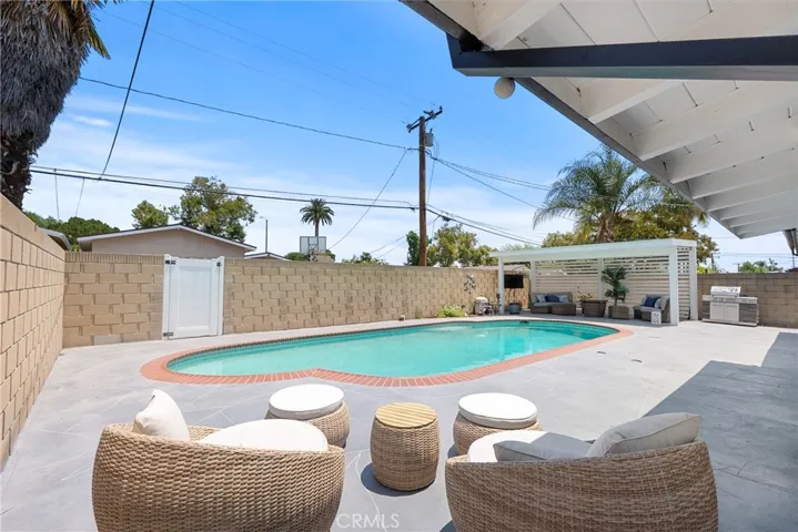Back Yard 1