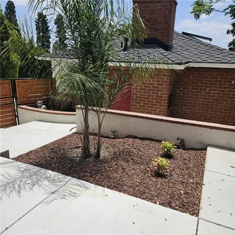 Side Yard