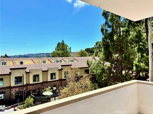 views of tree tops & hills of Palos Verdes