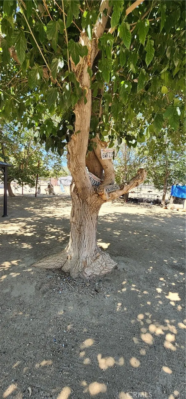 38655 159th St, Palmdale, California 93591 home-pic-27