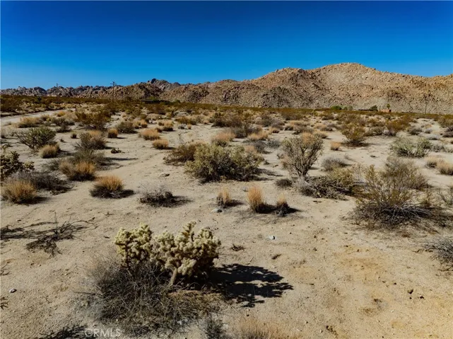 12345 Sullivan Road, 29 Palms, California 92277
