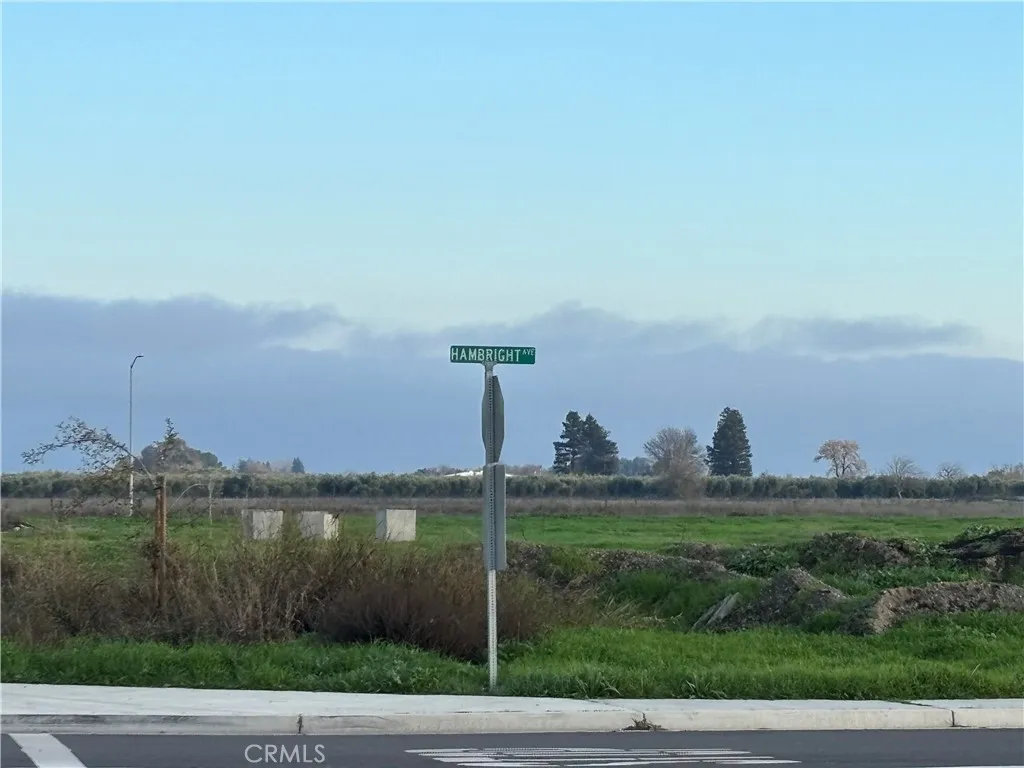 From Corner of Hwy 32 & Hambright looking East Across property