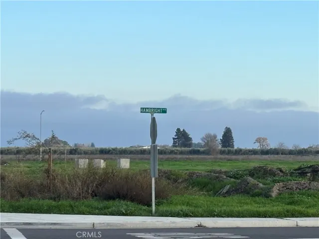From Corner of Hwy 32 & Hambright looking East Across property