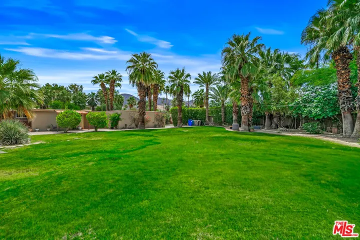 Westside grass area
