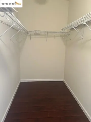 Walk in closet with dark wood-type flooring