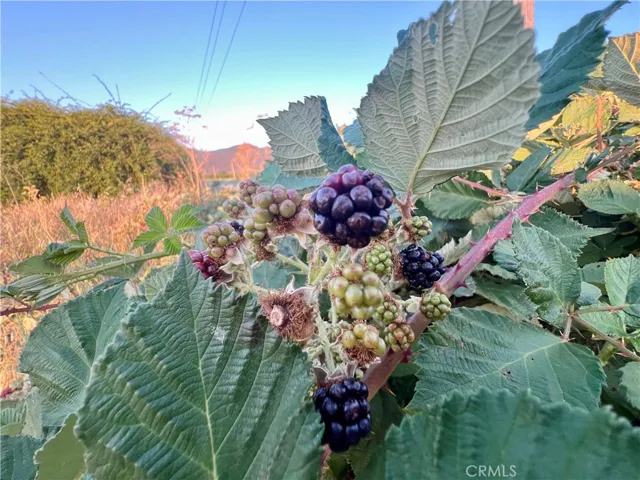 3140 Big Valley Road, Kelseyville, California 95451