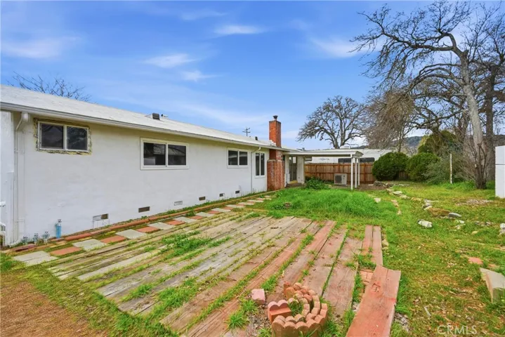 Back yard