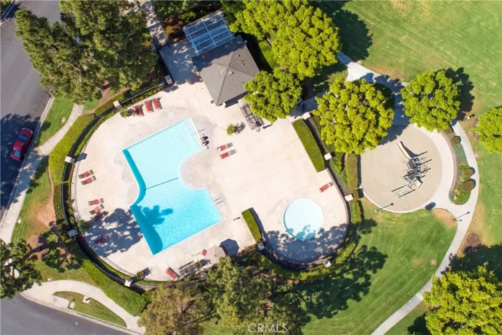 Neighborhood Swimming Pool