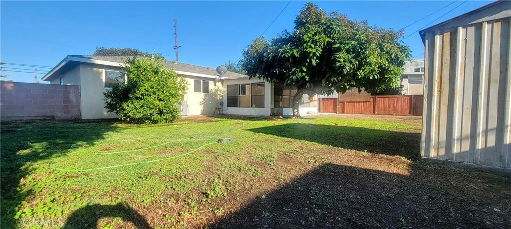Backyard