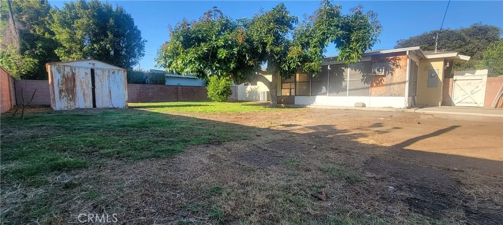Backyard