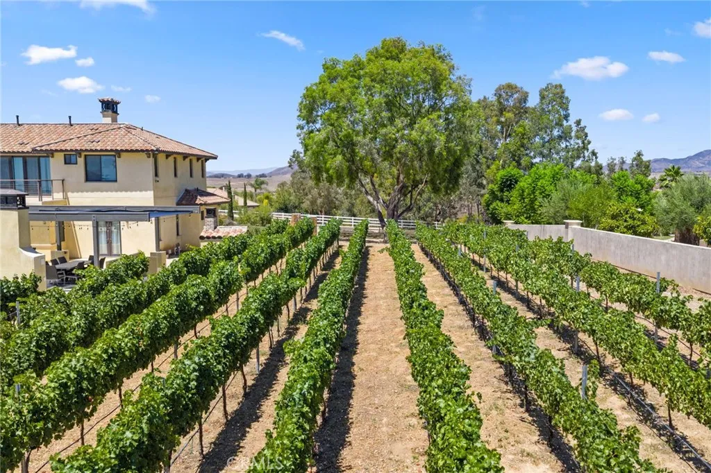 39547 Calle Cabernet, Temecula, California 92591 home-pic-14