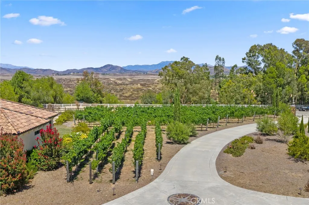 39547 Calle Cabernet, Temecula, California 92591 home-pic-16