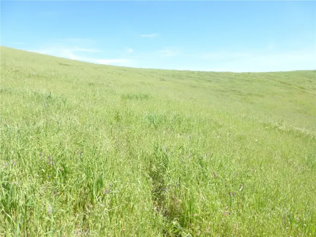 0 Douglas Rd. (lot 41), San Miguel, California 93451 — photo 5